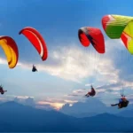 The Joy of Cooking: Rediscovering the Pleasure of Homemade